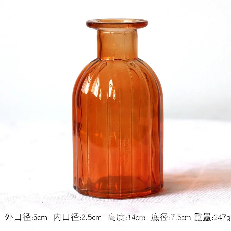 Modern Terrarium Glass Vase