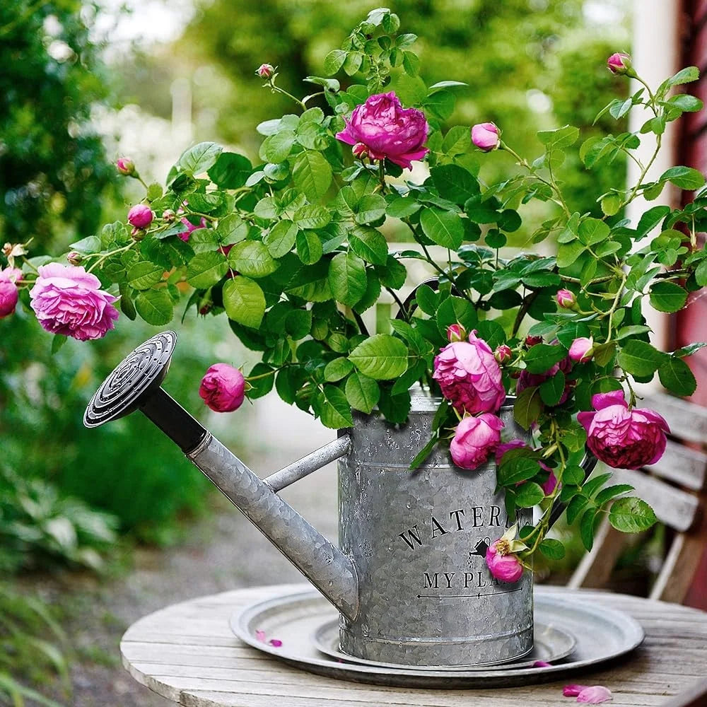 Galvanized Steel Watering Can