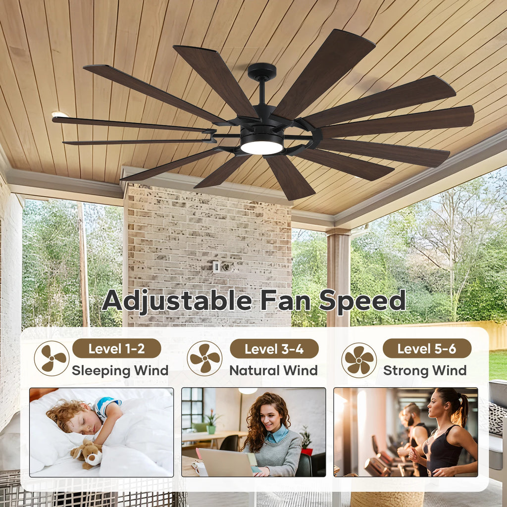 Industrial Ceiling Fan with Light & Remote Dual-finish Blades