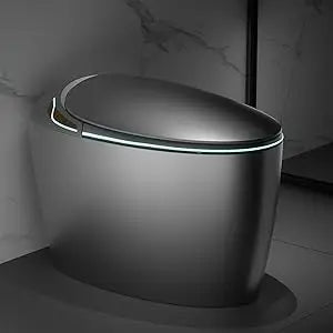 Luxury Smart Toilet With Bidet Seat, Elongated Egg Shaped Modern Design, Auto Open Auto Flush, Adjusted Heated Seat, Warm Water