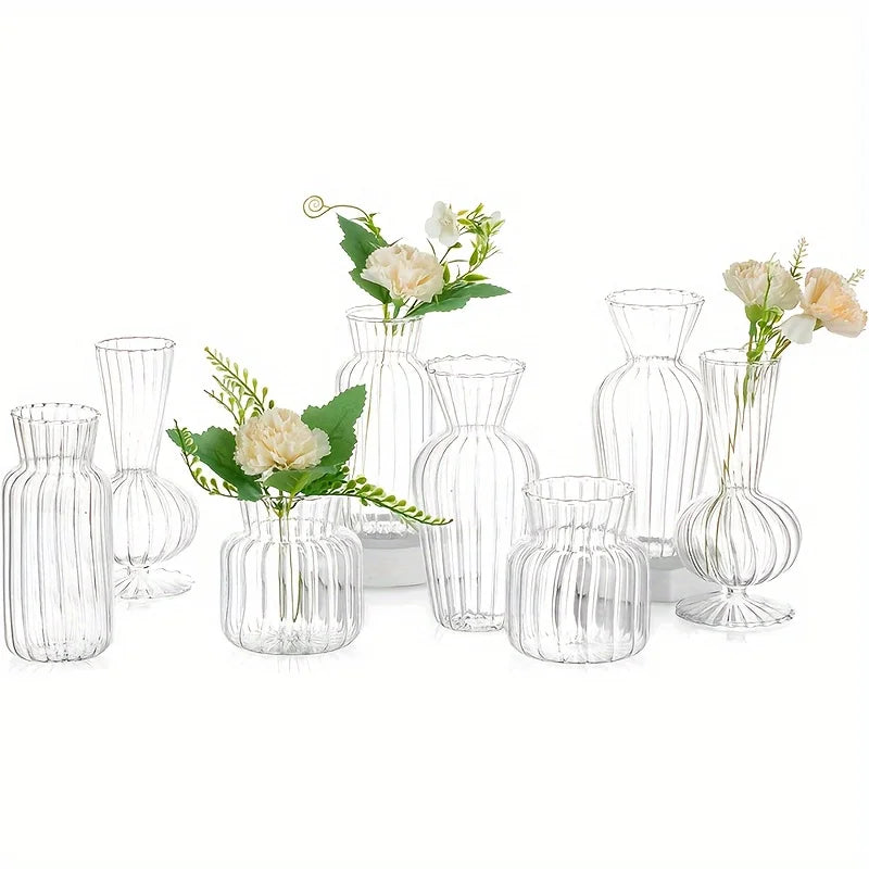 Modern Transparent Glass Vase Set