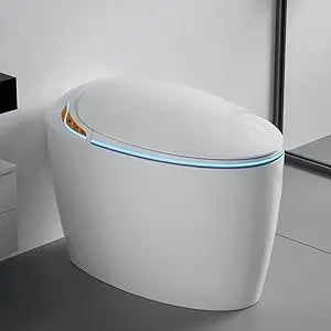 Luxury Smart Toilet With Bidet Seat, Elongated Egg Shaped Modern Design, Auto Open Auto Flush, Adjusted Heated Seat, Warm Water