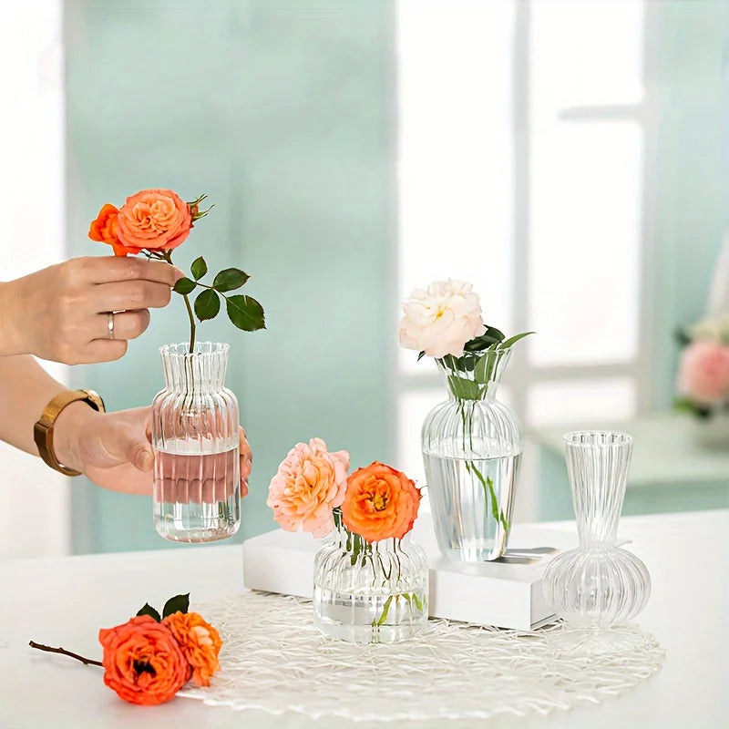 Modern Transparent Glass Vase Set