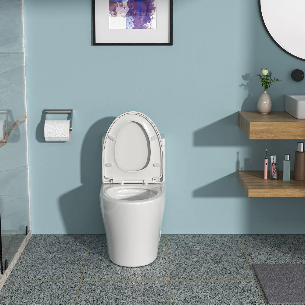 Ceramic One Piece Toilet,Dual Flush with Soft Closing Seat