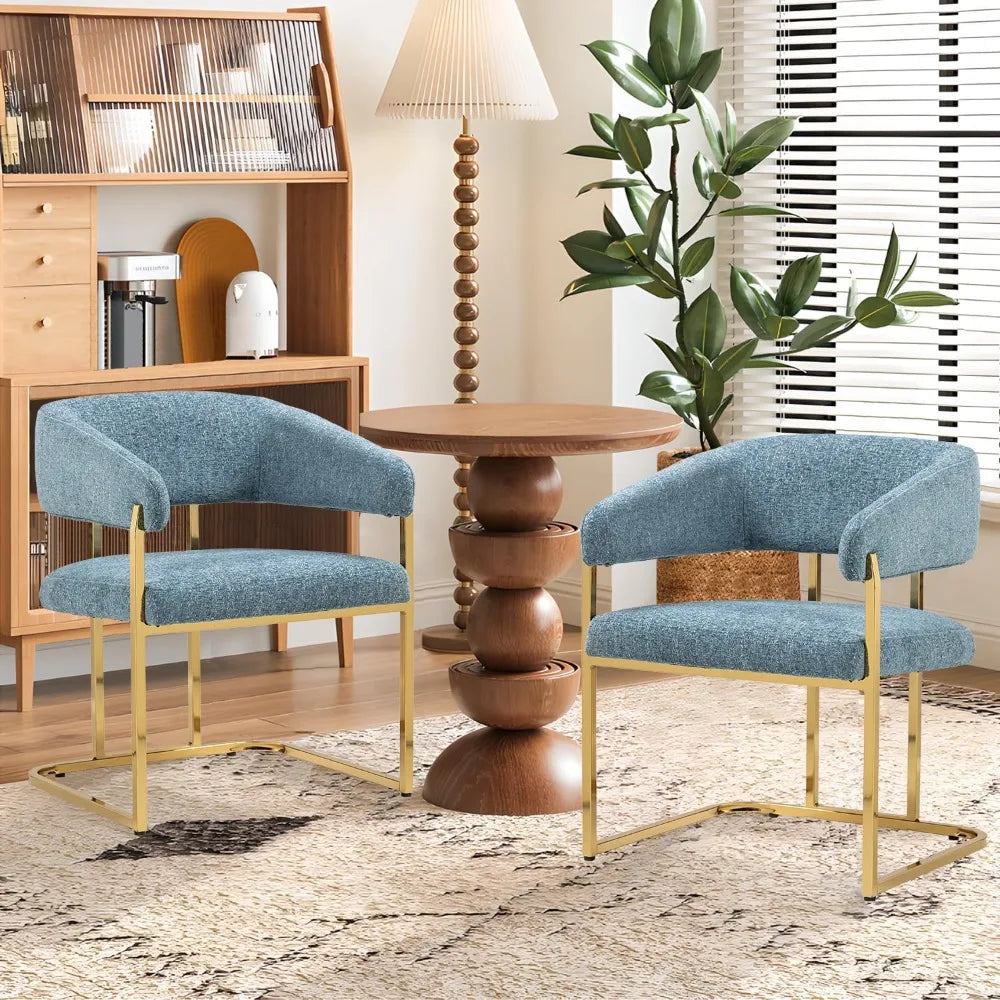 Dining Chairs Set of 4