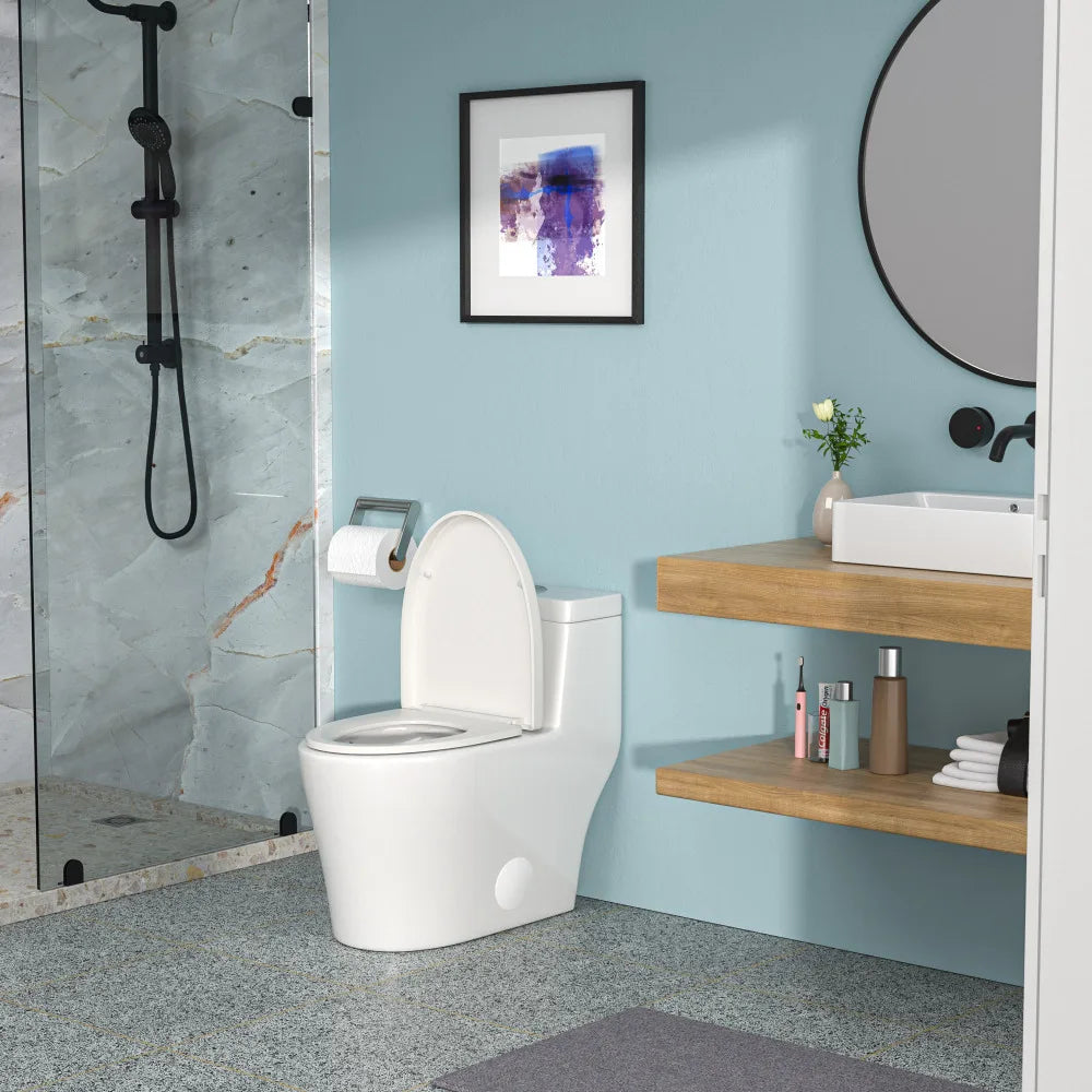 Ceramic One Piece Toilet,Dual Flush with Soft Closing Seat