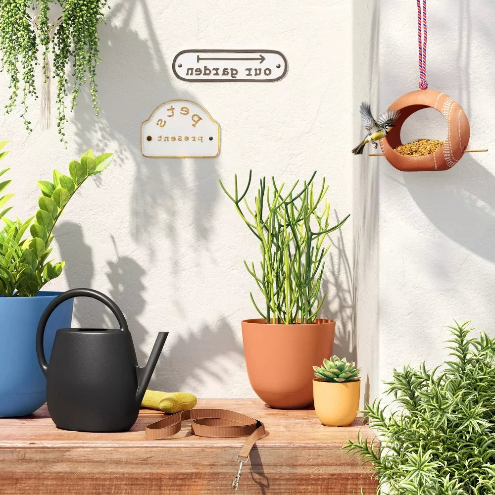 1 Gallon Plastic Watering Can for Indoor Plants