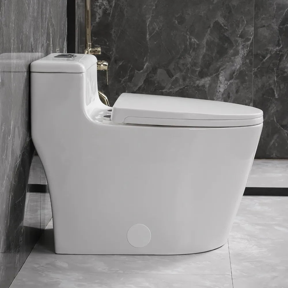 Ceramic One Piece Toilet Top Dual Flush