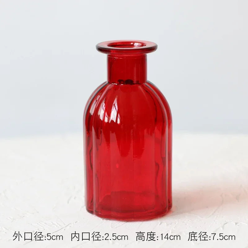 Modern Terrarium Glass Vase