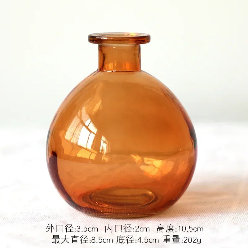 Modern Terrarium Glass Vase