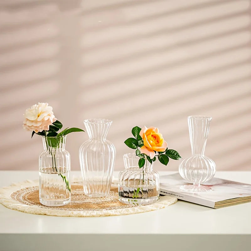 Modern Transparent Glass Vase Set
