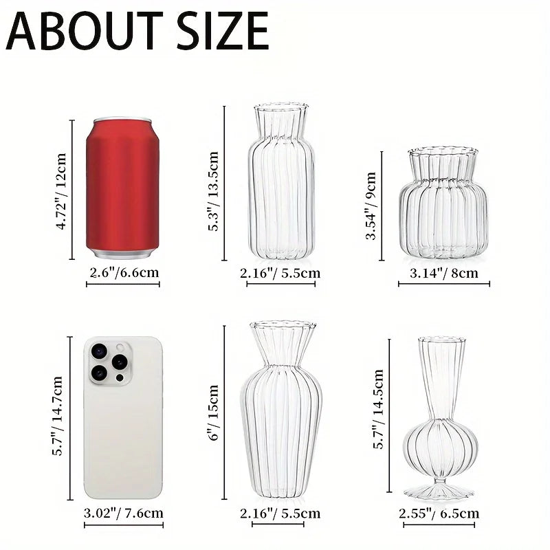 Modern Transparent Glass Vase Set