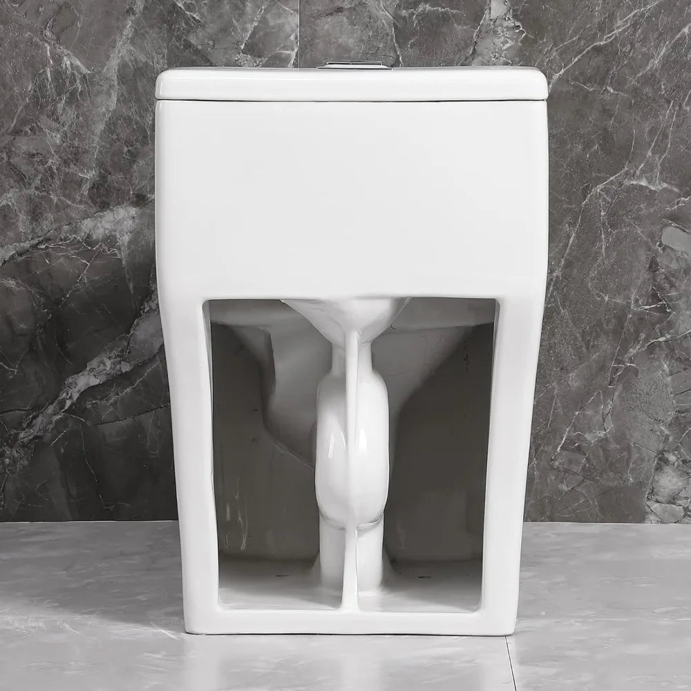 Ceramic One Piece Toilet Top Dual Flush