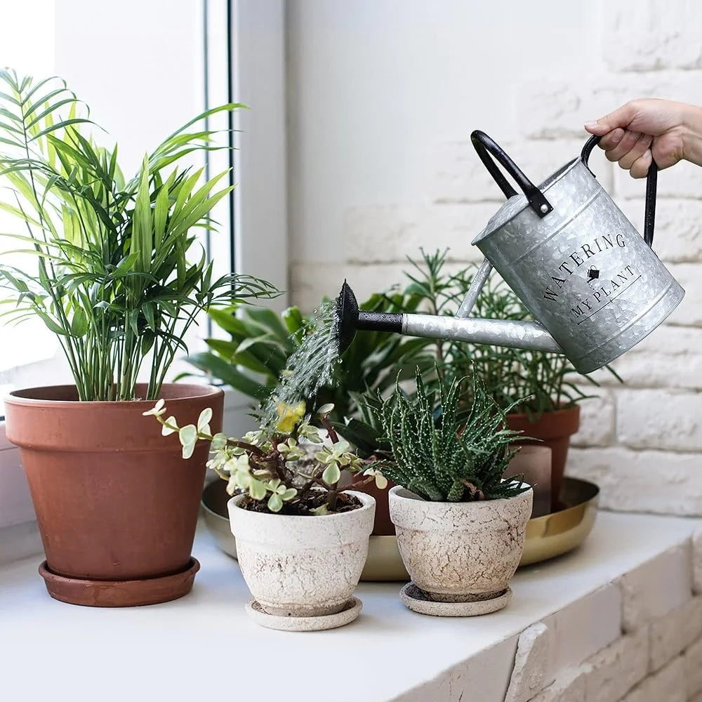 Galvanized Steel Watering Can