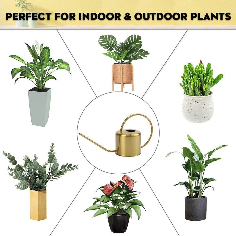 Stainless Steel Long Spout Watering Can