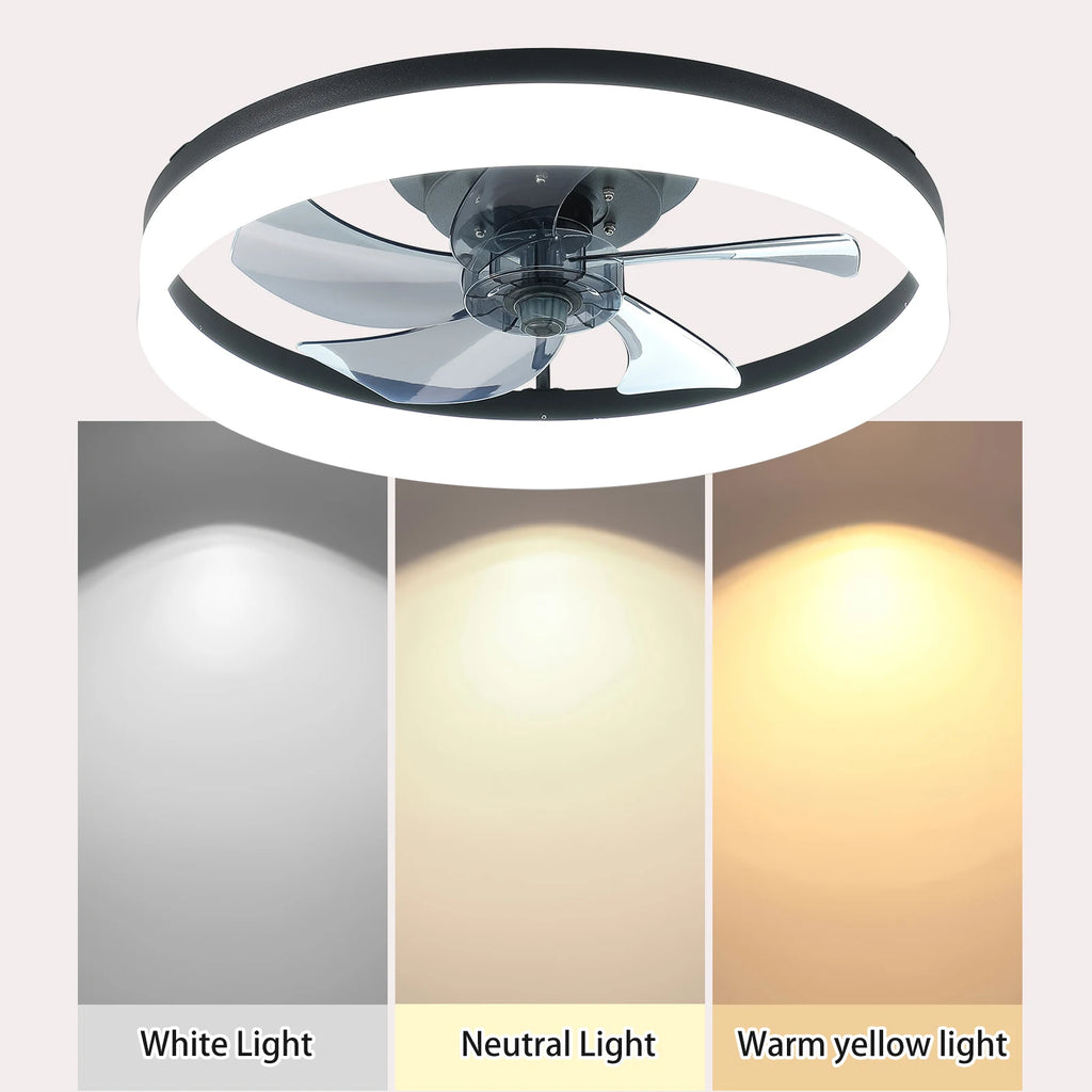 Modern acrylic black ceiling fan LED fan light