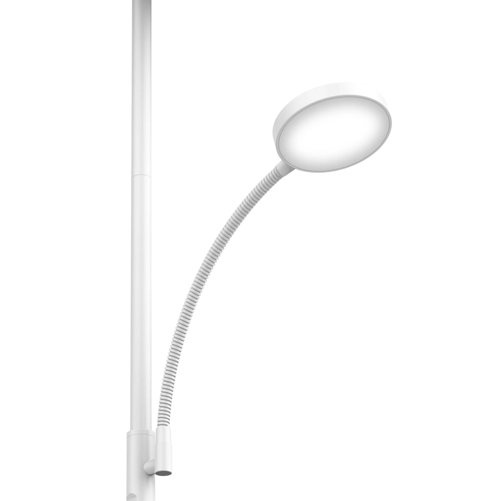 LED Floor Lamp with Remote Control